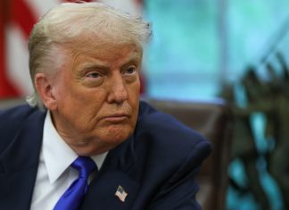 Como cinema brasileiro e de outros países latinos pode enfrentar tarifa de Trump para filmes estrangeiros