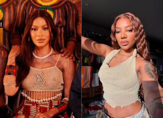 Novo rosto de Anitta revive debate sobre padrão estético entre celebridades