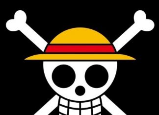 Caveira do mangá ‘One Piece’ via símbolo de rebeldia na Indonésia; entenda