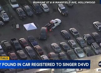Corpo é encontrado dentro de Tesla registrado em nome de cantor D4vd nos EUA