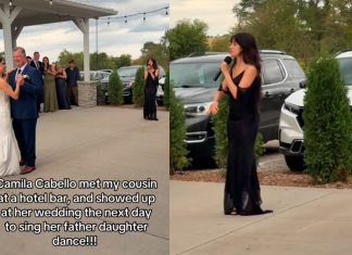 Camila Cabello canta em casamento de fã