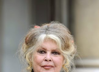 Brigitte Bardot volta para casa após breve hospitalização