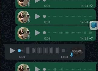 Calopsita envia áudios e foto pelo WhatsApp de tutora sem que ela perceba e vídeo viraliza
