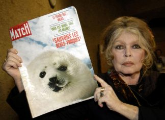 França debate como homenagear Brigitte Bardot entre seu legado e suas polêmicas