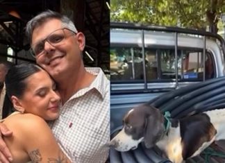 VÍDEO: cachorrinha cruza caminho do pai de Ana Castela e ganha um novo lar