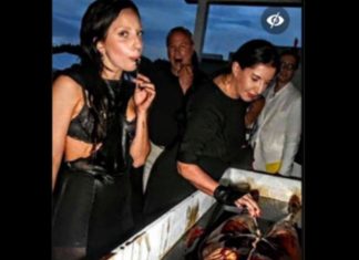 É #FAKE que foto mostre Lady Gaga comendo carne humana em ilha de Epstein; registro exibe interação da cantora com obra de arte