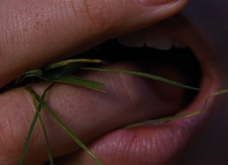 ‘O morro dos ventos uivantes’ subverte clássico subversivo com beleza, exagero e tesão; g1 já viu