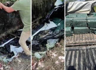 Cocaína encontrada em buraco na mata no TO chega a quase 470 kg