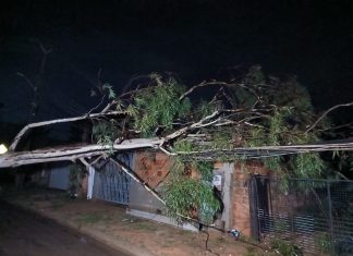 Chuva forte durante a madrugada causas estragos em Palmas