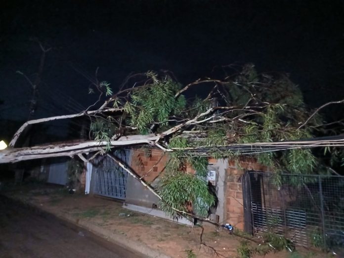 whatsapp-image-2026-04-09-at-11.10.22