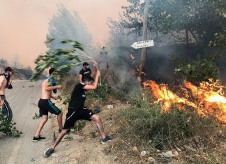 Sobe para 65 o número de mortos pelos incêndios florestais no norte da Argélia
