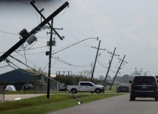 Investigadores encontram restos mortais humanos em estômago de jacaré em Louisiana