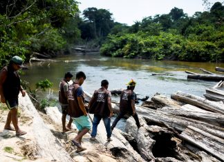 Alta comissária da ONU pede proteção de indígenas e ambientalistas do Brasil