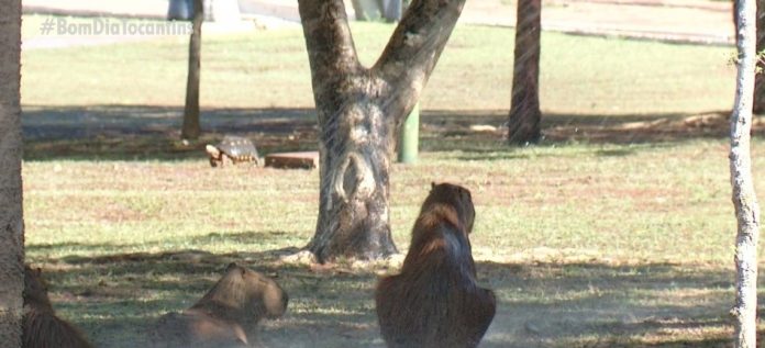 captura-de-tela-2021-09-23-as-10.13.19