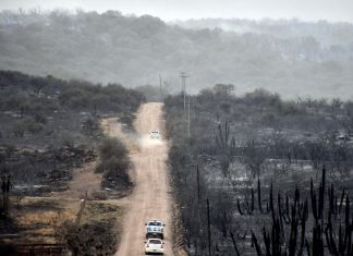 Argentina: incêndios florestais deixam mortos em Córdoba