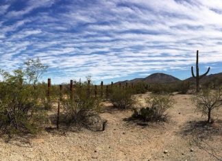 O arriscado trajeto entre EUA e México onde brasileira foi encontrada morta
