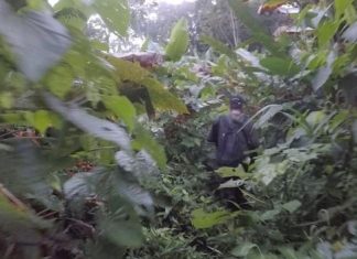 Cerca de 19 mil crianças cruzaram a selva entre Colômbia e Panamá rumo aos EUA este ano