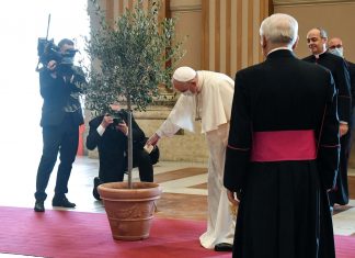 Papa pede à COP26 ação ‘urgente’ para dar ‘respostas eficazes’ sobre clima