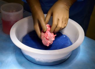 Em feito inédito, cirurgiões dos EUA testam com sucesso transplante de rim de porco em humano