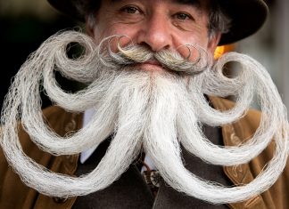 Campeonato de barba e bigode na Alemanha impressiona com criações cabeludas; FOTOS