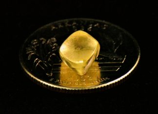 Americana encontra diamante amarelo de 4,36 quilates em parque estadual nos EUA; veja FOTOS