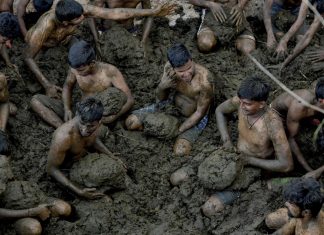 Vídeo: festival hindu na Índia termina com ‘guerra’ de esterco de vaca