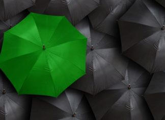 Mudanças climáticas: 5 boas notícias sobre a luta contra o aquecimento global