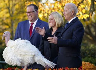 Biden perdoa perus pela 1ª vez antes do Dia de Ação de Graças; cerimônia é tradicional nos EUA