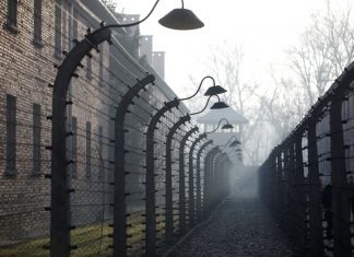 Justiça de Israel bloqueia leilão de artefatos nazistas retirados de Auschwitz