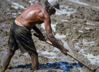 O adubo ‘tóxico’ da China que causou problema diplomático na Ásia