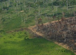 COP26: Por que Brasil é crucial para evitar efeito catastrófico das mudanças climáticas