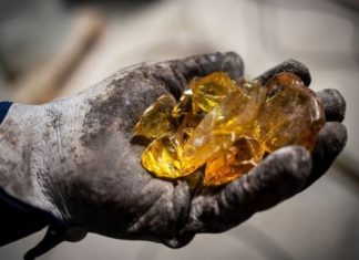 O ‘ouro líquido’ escondido nas florestas da Espanha