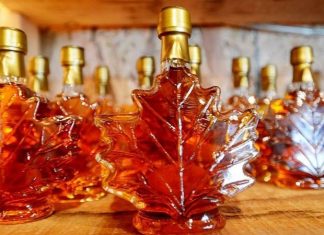 Por que Canadá tem reserva estratégica de xarope de bordo, 20 vezes mais valioso que petróleo