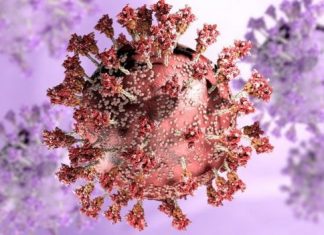 Covid: cientistas avaliam possível elo entre surgimento de variante ômicron e HIV não tratado
