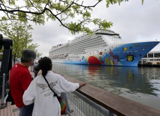 Cruzeiro atracado em porto dos EUA tem caso suspeito da variante ômicron