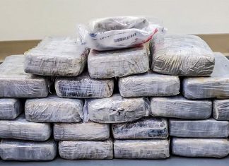 Homem encontra mais de 30 quilos de cocaína boiando no mar na Flórida