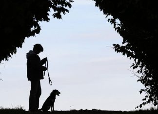 Mulher morde mulher em briga sobre disciplina de cachorros na Alemanha