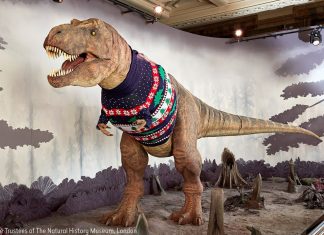 Tiranossauro Rex ganha suéter para celebrar o Natal no Museu de História Natural de Londres
