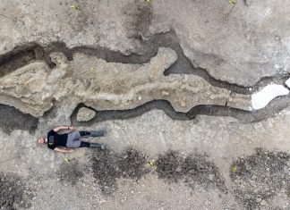 Imagens de drone revelam fóssil gigante de ‘dragão marinho’ descoberto no Reino Unido