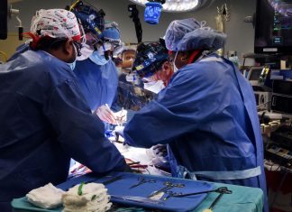 Cirurgiões americanos transplantam com sucesso um coração de porco em uma pessoa