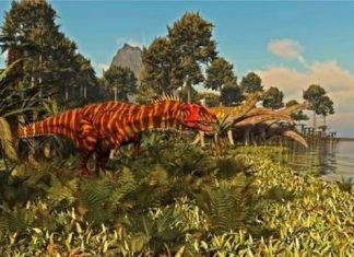 A desconhecida riqueza de fósseis de dinossauro na Índia