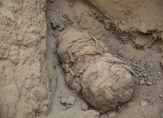 Arqueólogos encontram 14 múmias do período pré-Inca no Peru; Veja VÍDEO