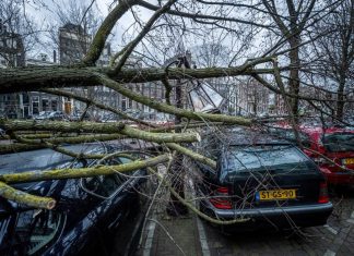 Praticante de windsurfe luta contra ventos extremos durante tempestade Eunice, na Holanda; ASSISTA