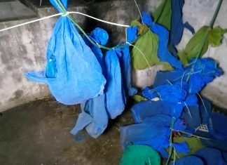 Autoridades da Tailândia encontram dezenas de macacos presos dentro de sacos em uma casa abandonada
