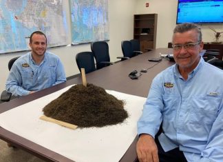 Controle de pragas mostra pilha com milhões de mosquitos mortos nos EUA; Veja FOTOS