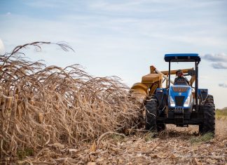 Veja como o agronegócio brasileiro pode ser impactado pelo conflito entre a Rússia e a Ucrânia