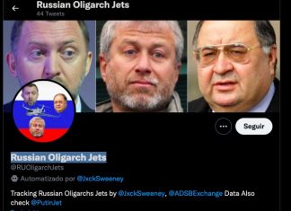 Criador de perfil que monitora jatinho de Elon Musk tem um novo alvo: bilionários russos