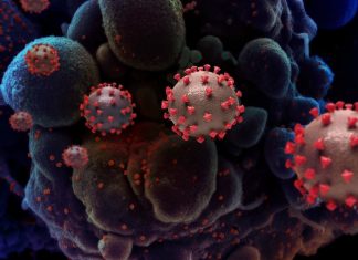 Os vírus que ficam ‘escondidos’ no corpo e podem causar problemas depois de décadas