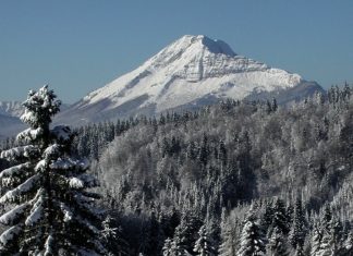 Três mortos em avalanche na Áustria