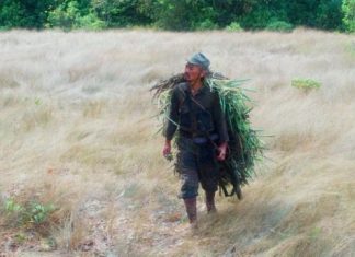 A incrível história do japonês escondido na selva por 30 anos sem saber do fim da 2ª Guerra